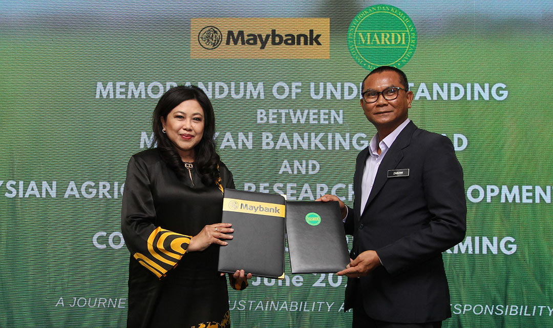 The agreement was inked by Datuk Nora Abd Manaf, Group Chief Human Capital Officer Maybank and Dato’ Dr Mohamad Zabawi, Director General of MARDI at Maybank Academy in Bangi, Selangor.