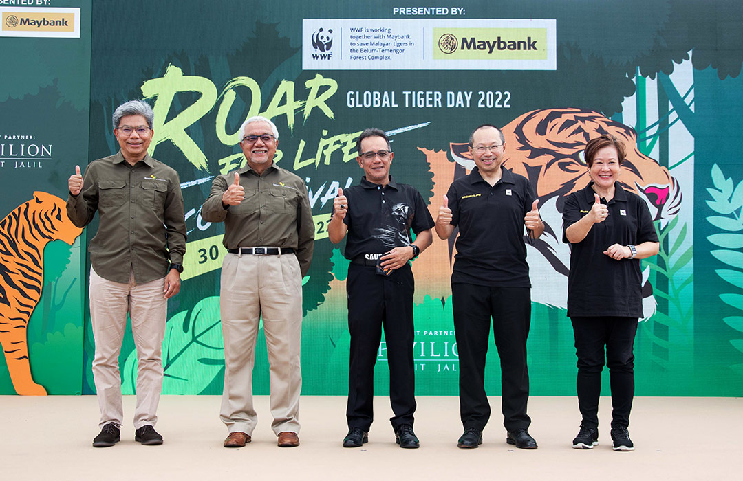 Post Roar For Life Eco Festival update